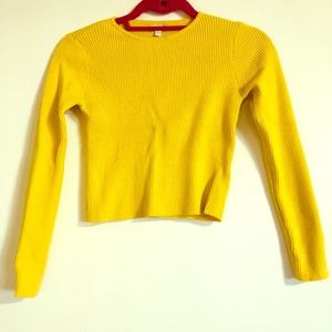 Gianni binni crop top